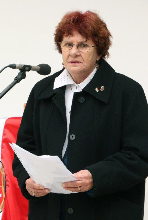 24612292 febeb8587333b7544fa985bc45cf876b l